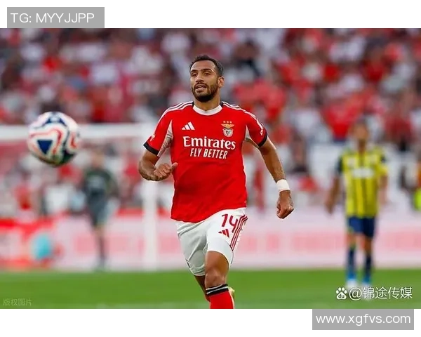 德甲精彩对决那不勒斯大胜本菲卡引发全场热议与焦点分析